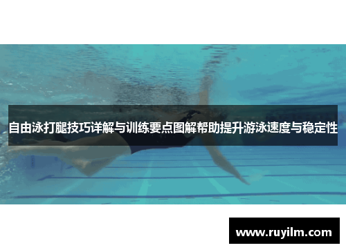 自由泳打腿技巧详解与训练要点图解帮助提升游泳速度与稳定性
